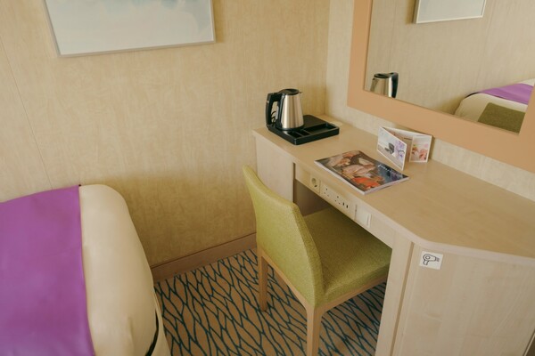 Ambassador Ambition - Ocean View Cabin 3.jpg